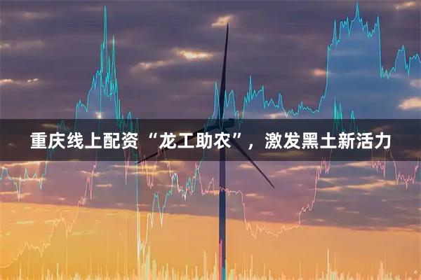 重庆线上配资 “龙工助农”，激发黑土新活力